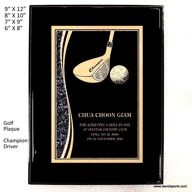 Golf Plaque - Champion Driver — David Sports & Engraving